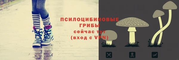 твердый Магадан