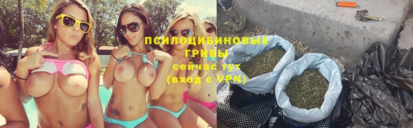мдпв Магас